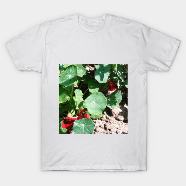 Nasturtium Empress of India T-Shirt by Hajarsdeco